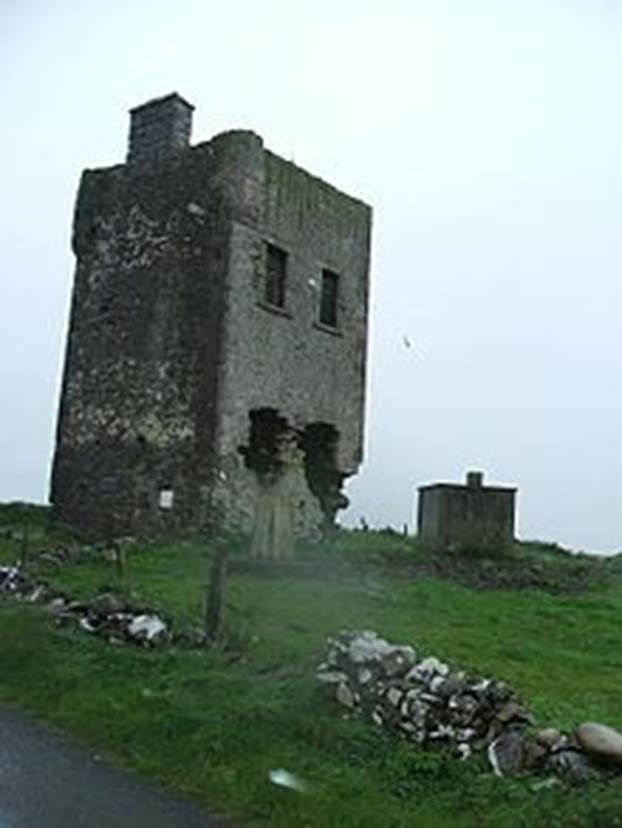 http://upload.wikimedia.org/wikipedia/commons/thumb/4/49/The_odowd_castle_0527.jpg/220px-The_odowd_castle_0527.jpg