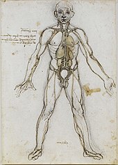 https://upload.media.orgikipedia/commons/thumb/4/44/Anatomical_Male_Figure_Showing_Heart%2C_Lungs%2C_and_Main_Arteries.jpg/170px-Anatomical_Male_Figure_Showing_Heart%2C_Lungs%2C_and_Main_Arteries.jpg