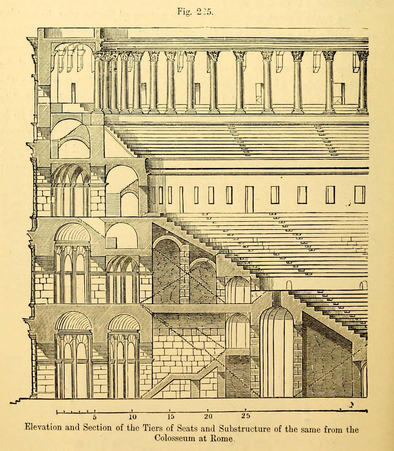 Image result for colosseum cross section