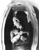http://www.best-horror-movies.com/images/Mummy-boris-karloff-coffin-smaller.jpg?v=1