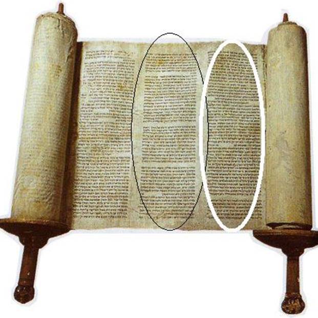 Torah Noahs Ark 2