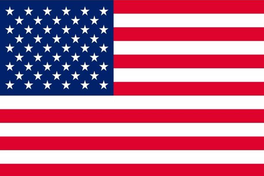 United States of America USA American Flag inch Poster 36x24