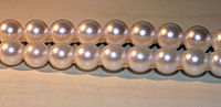 https://upload.wikimedia.org/wikipedia/commons/thumb/8/8a/Strand-of-akoya-pearls.jpg/200px-Strand-of-akoya-pearls.jpg